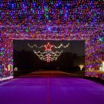 lights-1