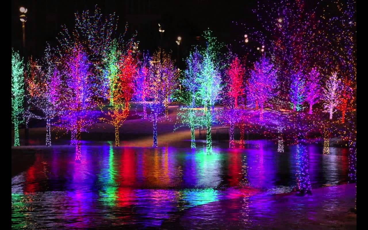 Christmas Light Tours