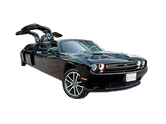 Exotic Limo Dallas